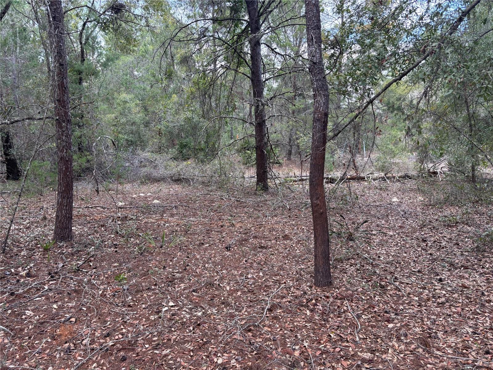 DAYTONA NORTH SUB - Land