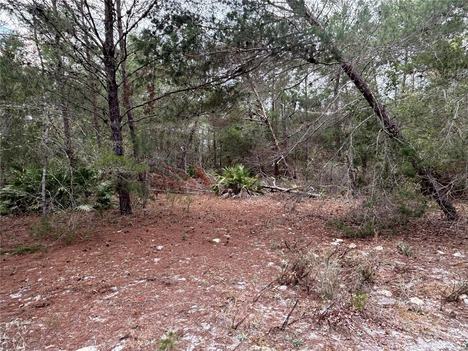 DAYTONA NORTH SUB - Land