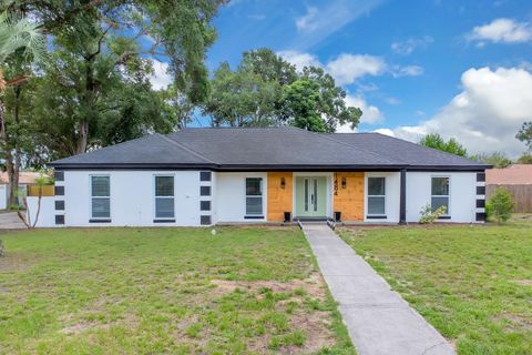 1484 LAKE FRANCIS DRIVE APOPKA FL 32712
