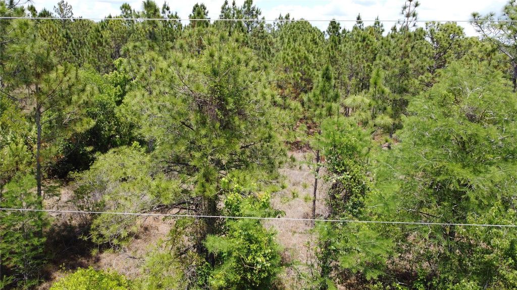 Photo of Starry Street, Orlando, FL 32833 (MLS # O6407360)