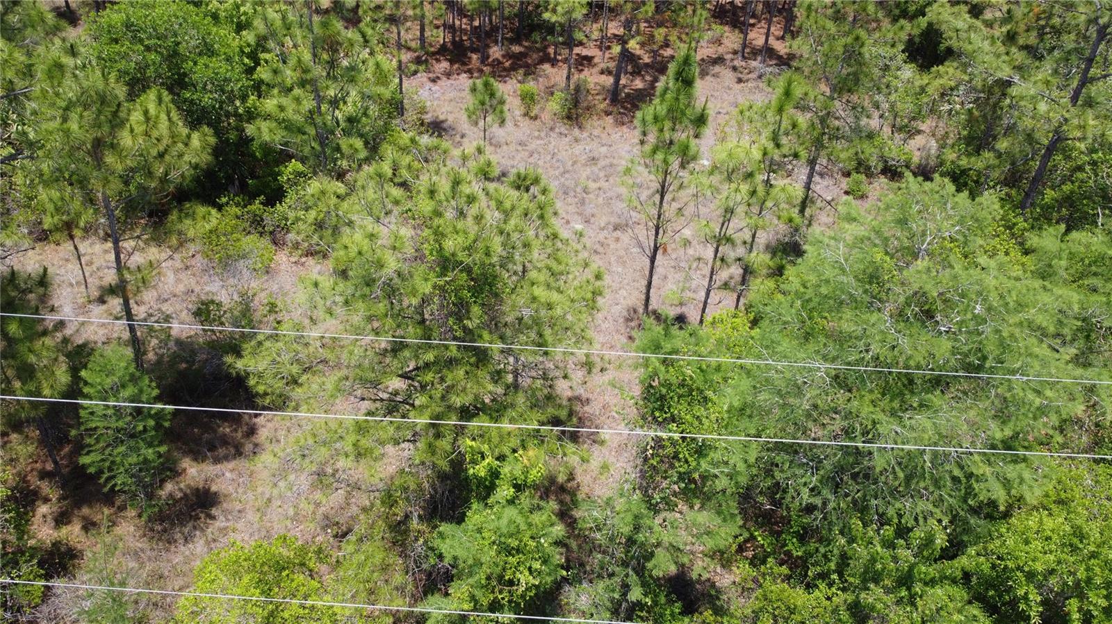 CAPE ORLANDO ESTATES - Land