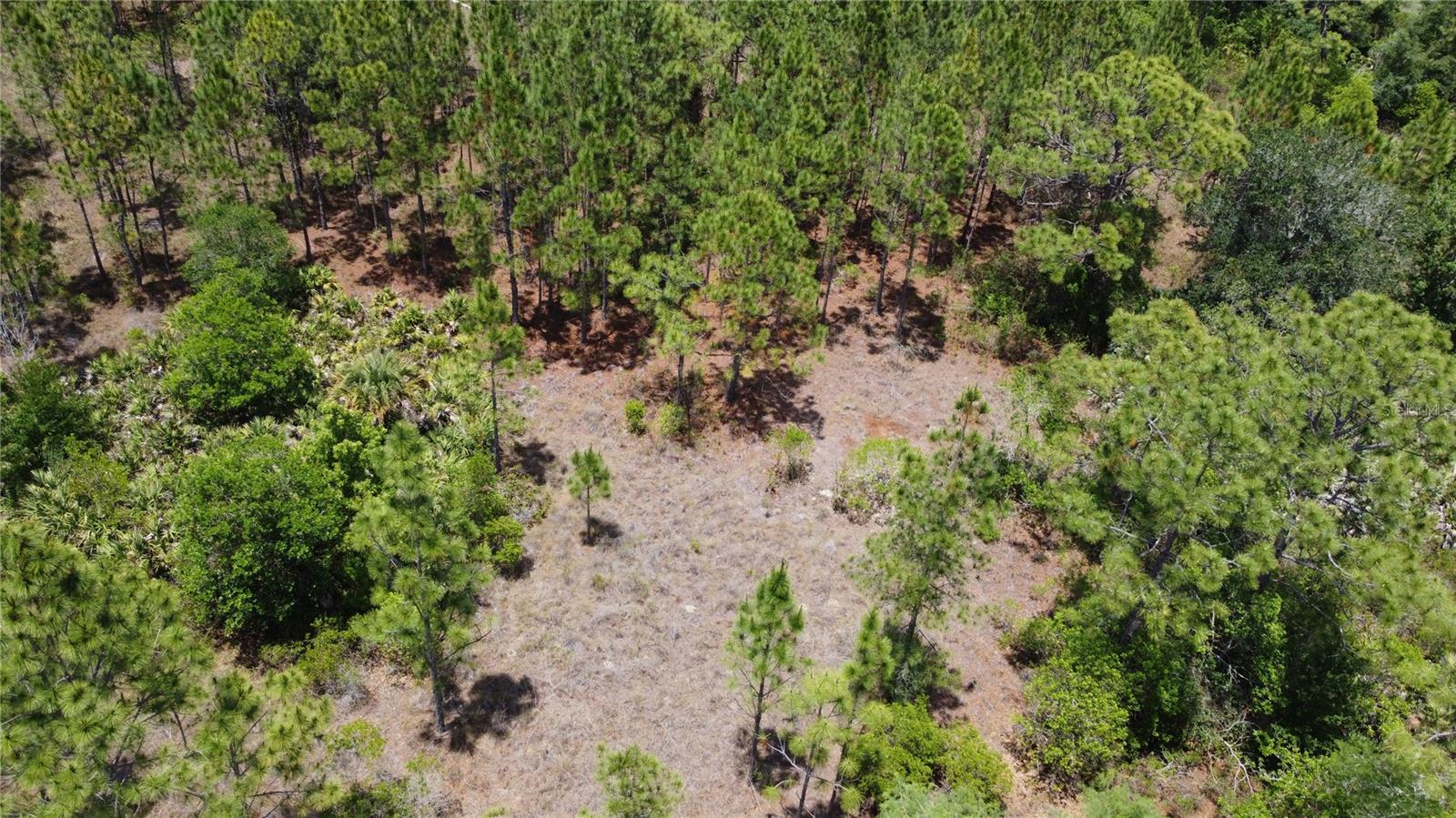 CAPE ORLANDO ESTATES - Land