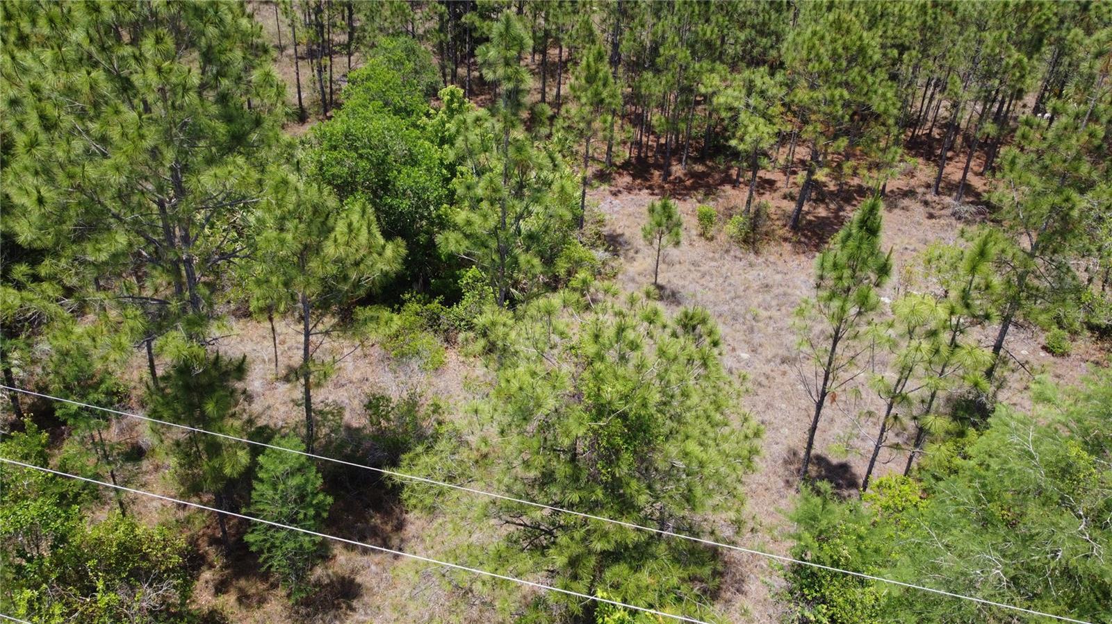CAPE ORLANDO ESTATES - Land