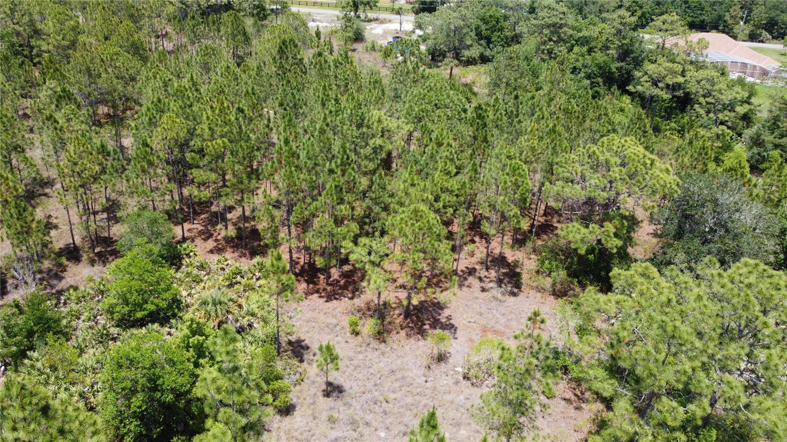 CAPE ORLANDO ESTATES - Land