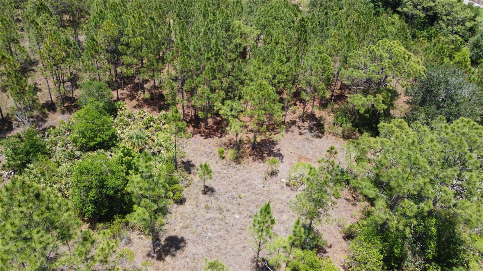 CAPE ORLANDO ESTATES - Land