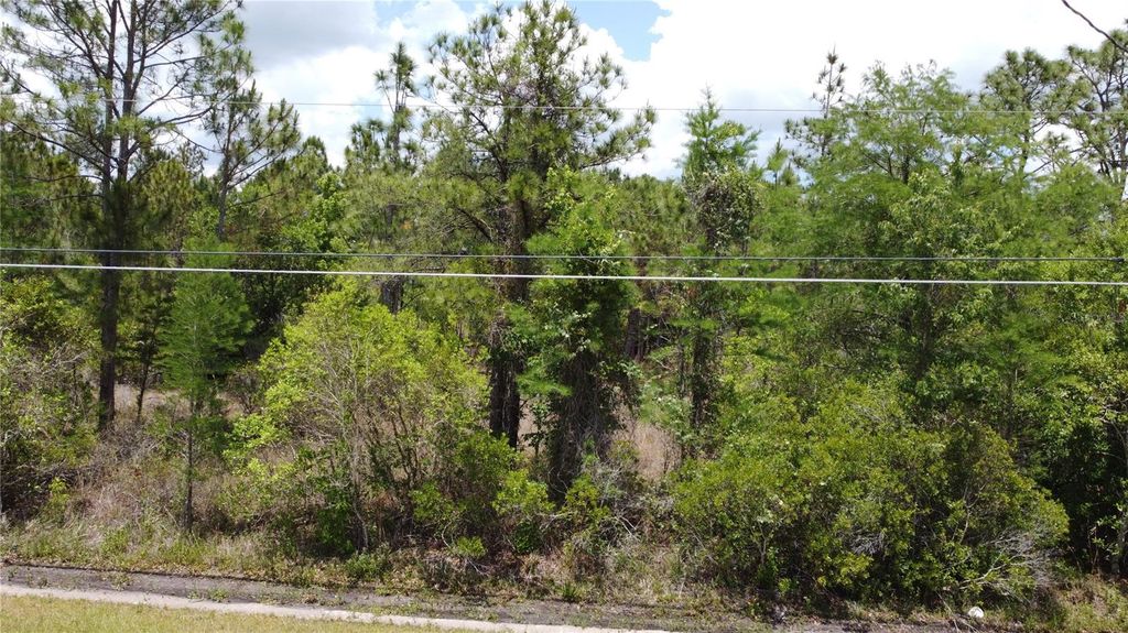 Photo of Starry Street, Orlando, FL 32833 (MLS # O6407360)
