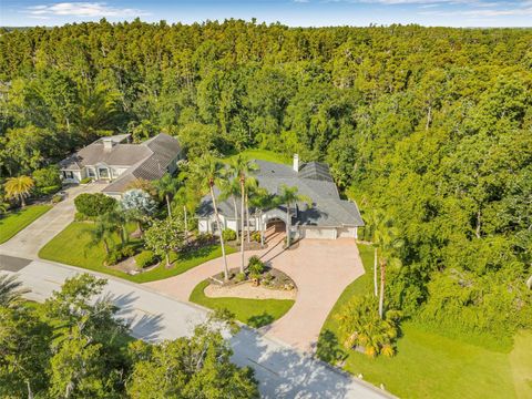 Photo of 5243 Foxhunt Drive, Wesley Chapel, FL 33543 (MLS # TB8411759)