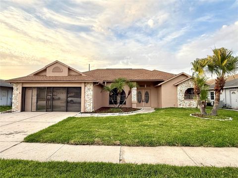 8127 TARSIER AVENUE NEW PORT RICHEY FL 34653