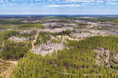 Tiny photo for 60 NW Clyatt Road, Chiefland, FL 32626 (MLS # OM718503)