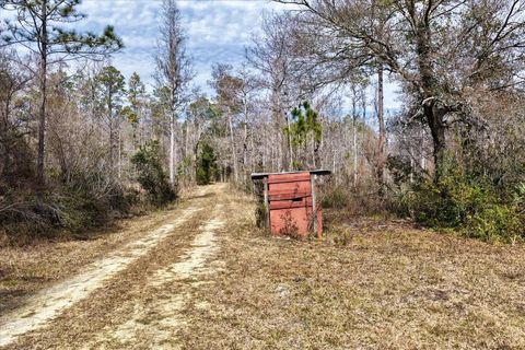 Tiny photo for 60 NW Clyatt Road, Chiefland, FL 32626 (MLS # OM718503)