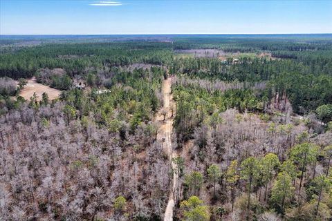 Tiny photo for 60 NW Clyatt Road, Chiefland, FL 32626 (MLS # OM718503)