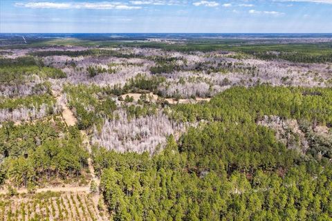 Tiny photo for 60 NW Clyatt Road, Chiefland, FL 32626 (MLS # OM718503)