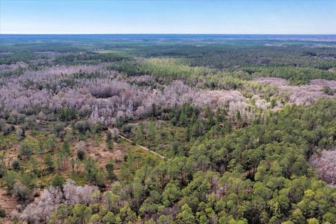 Tiny photo for 60 NW Clyatt Road, Chiefland, FL 32626 (MLS # OM718503)