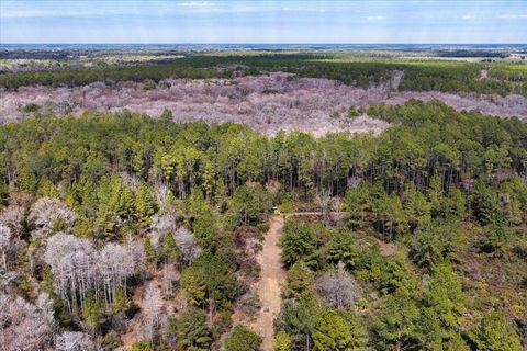 Tiny photo for 60 NW Clyatt Road, Chiefland, FL 32626 (MLS # OM718503)