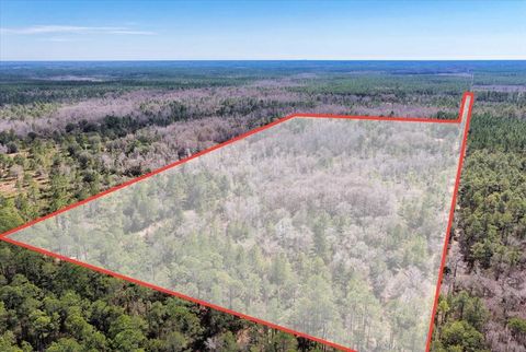 Tiny photo for 60 NW Clyatt Road, Chiefland, FL 32626 (MLS # OM718503)