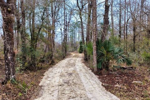Tiny photo for 60 NW Clyatt Road, Chiefland, FL 32626 (MLS # OM718503)
