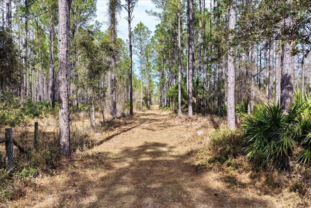 Photo of 60 NW Clyatt Road, Chiefland, FL 32626 (MLS # OM718503)
