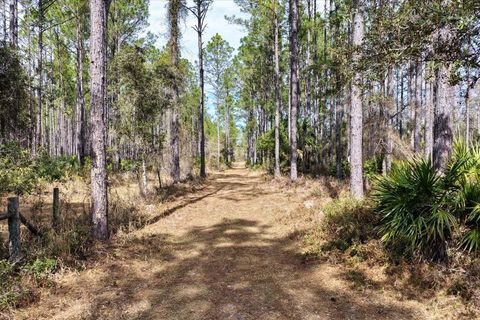 Tiny photo for 60 NW Clyatt Road, Chiefland, FL 32626 (MLS # OM718503)