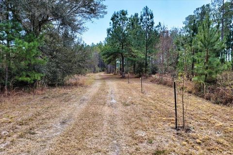 Tiny photo for 60 NW Clyatt Road, Chiefland, FL 32626 (MLS # OM718503)