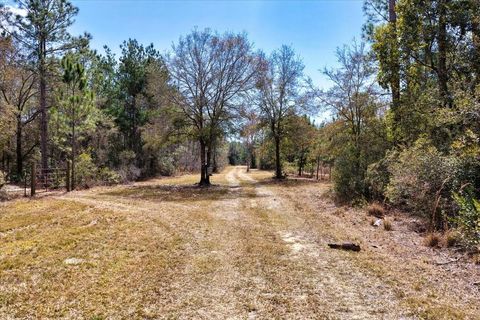 Tiny photo for 60 NW Clyatt Road, Chiefland, FL 32626 (MLS # OM718503)