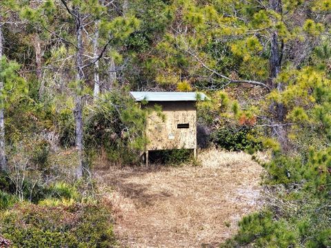 Tiny photo for 60 NW Clyatt Road, Chiefland, FL 32626 (MLS # OM718503)