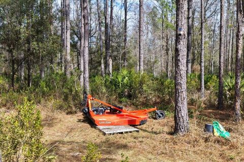 Tiny photo for 60 NW Clyatt Road, Chiefland, FL 32626 (MLS # OM718503)