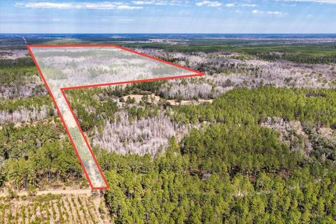 Tiny photo for 60 NW Clyatt Road, Chiefland, FL 32626 (MLS # OM718503)