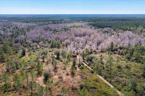 Tiny photo for 60 NW Clyatt Road, Chiefland, FL 32626 (MLS # OM718503)