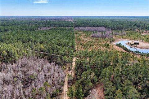 Tiny photo for 60 NW Clyatt Road, Chiefland, FL 32626 (MLS # OM718503)