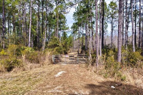 Tiny photo for 60 NW Clyatt Road, Chiefland, FL 32626 (MLS # OM718503)