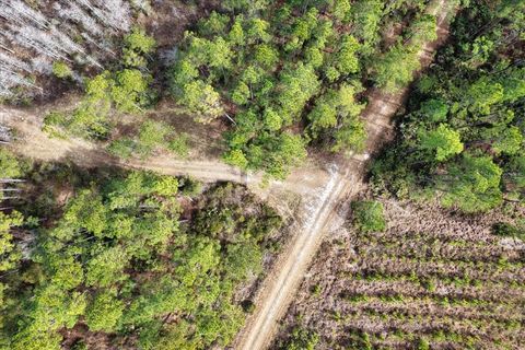 Tiny photo for 60 NW Clyatt Road, Chiefland, FL 32626 (MLS # OM718503)