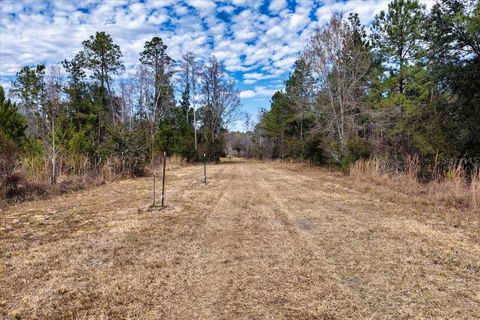 Tiny photo for 60 NW Clyatt Road, Chiefland, FL 32626 (MLS # OM718503)