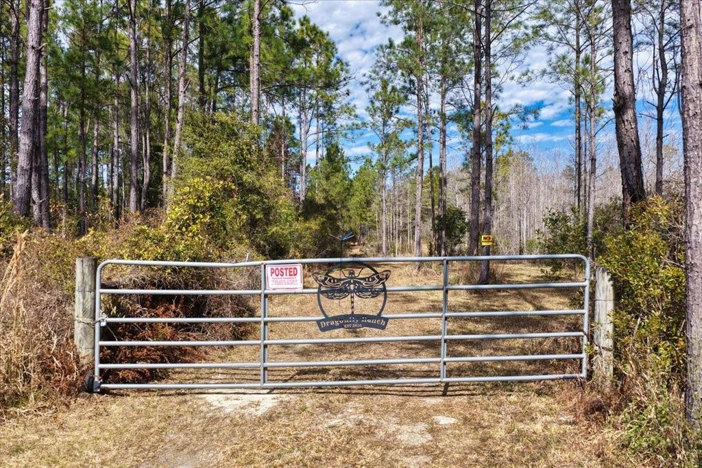 Photo of 60 NW Clyatt Road, Chiefland, FL 32626 (MLS # OM718503)