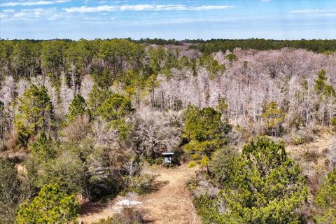 Tiny photo for 60 NW Clyatt Road, Chiefland, FL 32626 (MLS # OM718503)