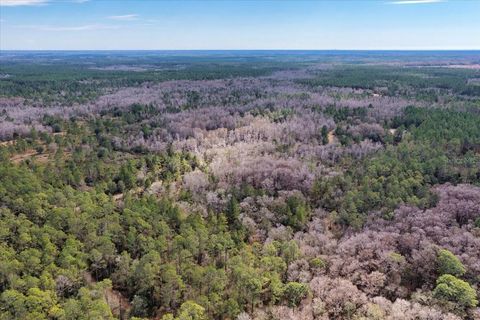 Tiny photo for 60 NW Clyatt Road, Chiefland, FL 32626 (MLS # OM718503)