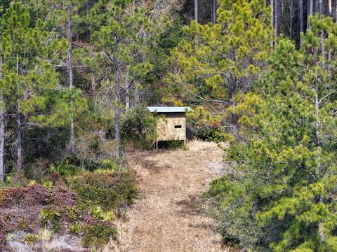 Tiny photo for 60 NW Clyatt Road, Chiefland, FL 32626 (MLS # OM718503)