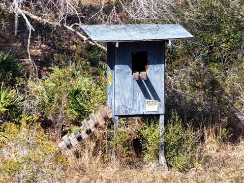 Tiny photo for 60 NW Clyatt Road, Chiefland, FL 32626 (MLS # OM718503)