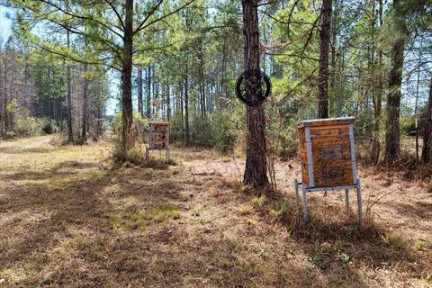 Tiny photo for 60 NW Clyatt Road, Chiefland, FL 32626 (MLS # OM718503)