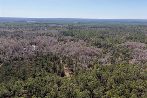 Tiny photo for 60 NW Clyatt Road, Chiefland, FL 32626 (MLS # OM718503)