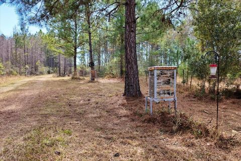 Tiny photo for 60 NW Clyatt Road, Chiefland, FL 32626 (MLS # OM718503)