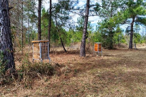 Tiny photo for 60 NW Clyatt Road, Chiefland, FL 32626 (MLS # OM718503)