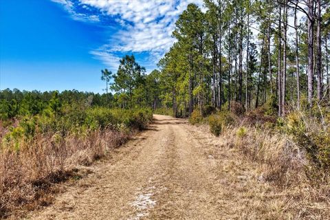 Tiny photo for 60 NW Clyatt Road, Chiefland, FL 32626 (MLS # OM718503)