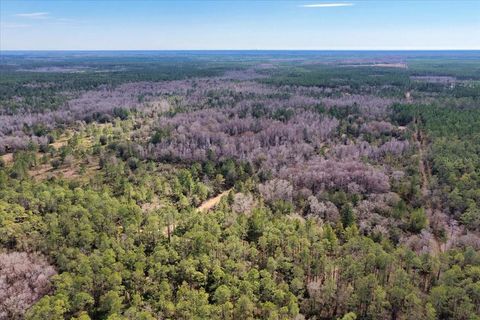 Tiny photo for 60 NW Clyatt Road, Chiefland, FL 32626 (MLS # OM718503)