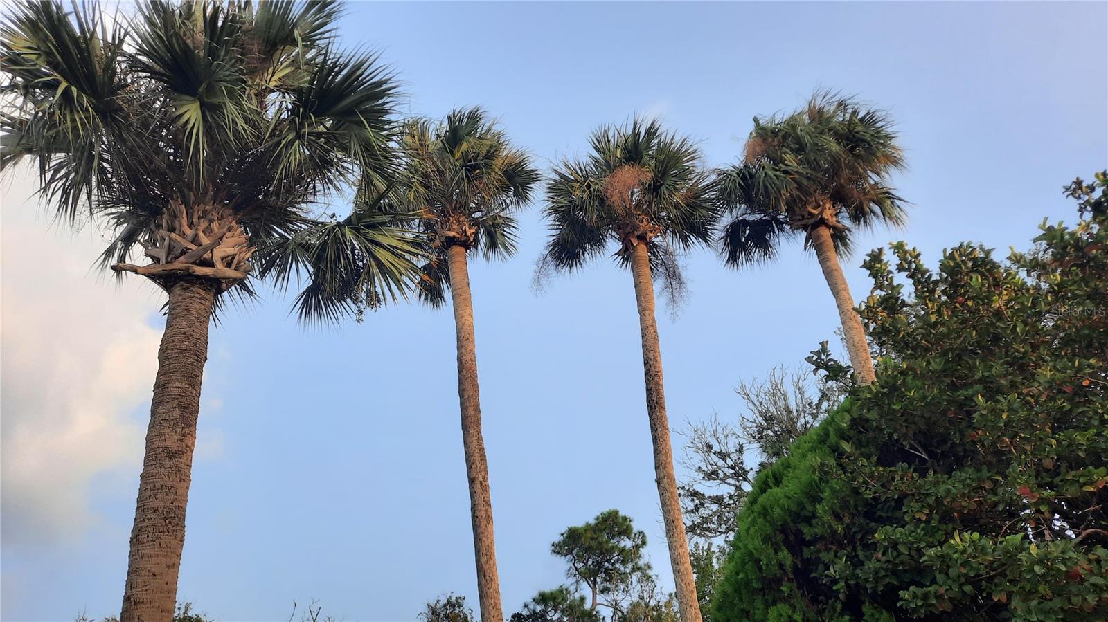 THE VILLAGE PHASE III - Residential Lease