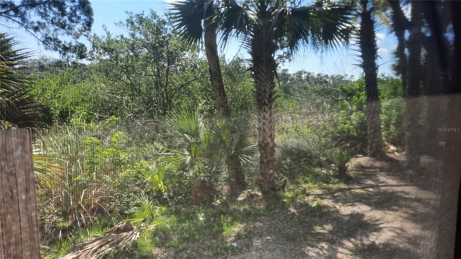 THE VILLAGE PHASE III - Residential Lease