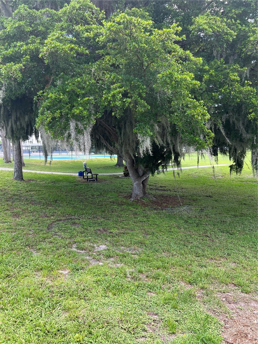 BLUE CYPRESS GOLF & RV RESIDENCE - Residential