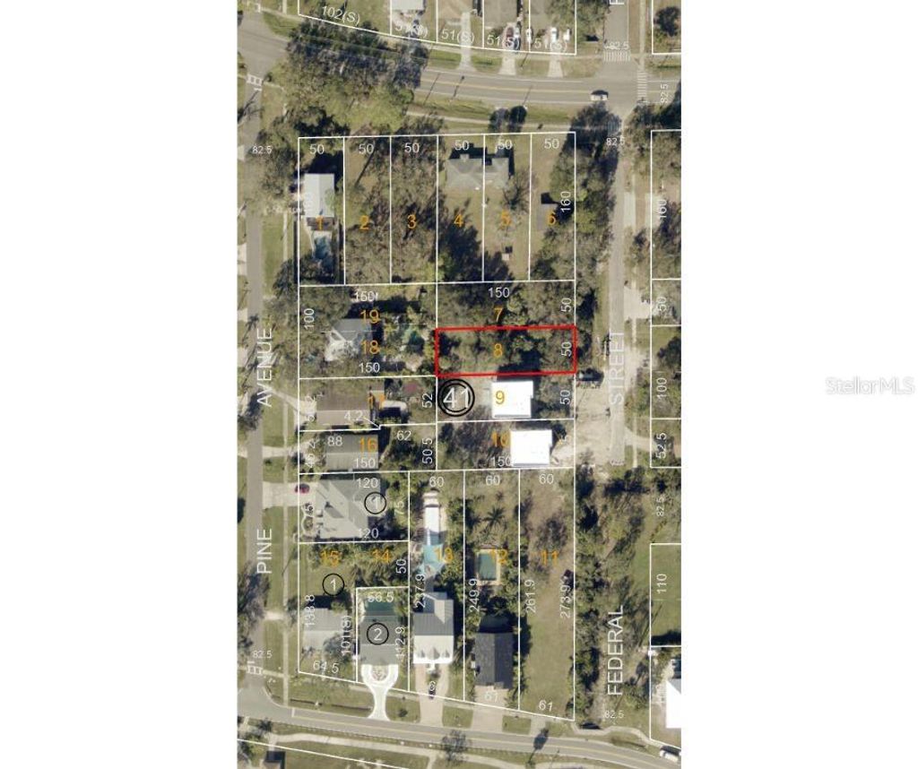 Photo of 502 Federal Street, Oldsmar, FL 34677 (MLS # TB8443463)