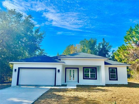 A home in CITRUS SPRINGS