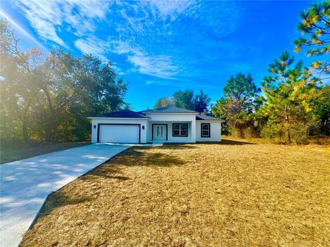 A home in CITRUS SPRINGS