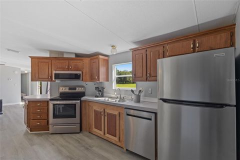 Tiny photo for 11902 Cr 727, Webster, FL 33597 (MLS # O6394956)